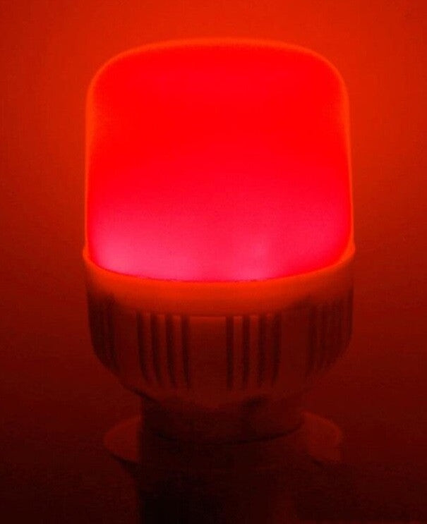 10 Ampoules led e27 220v 10w lanterne rouge vacance festive economie d energie Lampe de noel ECLATS DESTOCKAGE