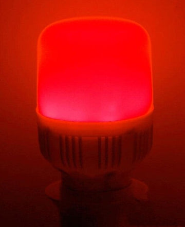 10 Ampoules led e27 220v 10w lanterne rouge vacance festive economie d energie Lampe de noel ECLATS DESTOCKAGE