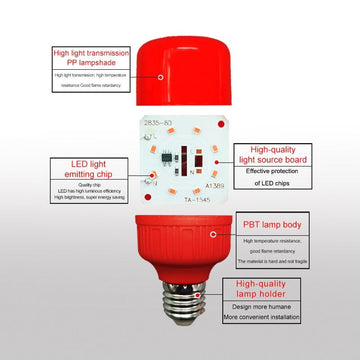 2 Ampoules led e27 220v 10w lanterne rouge vacance festive economie d energie Lampe de noel ECLATS DESTOCKAGE