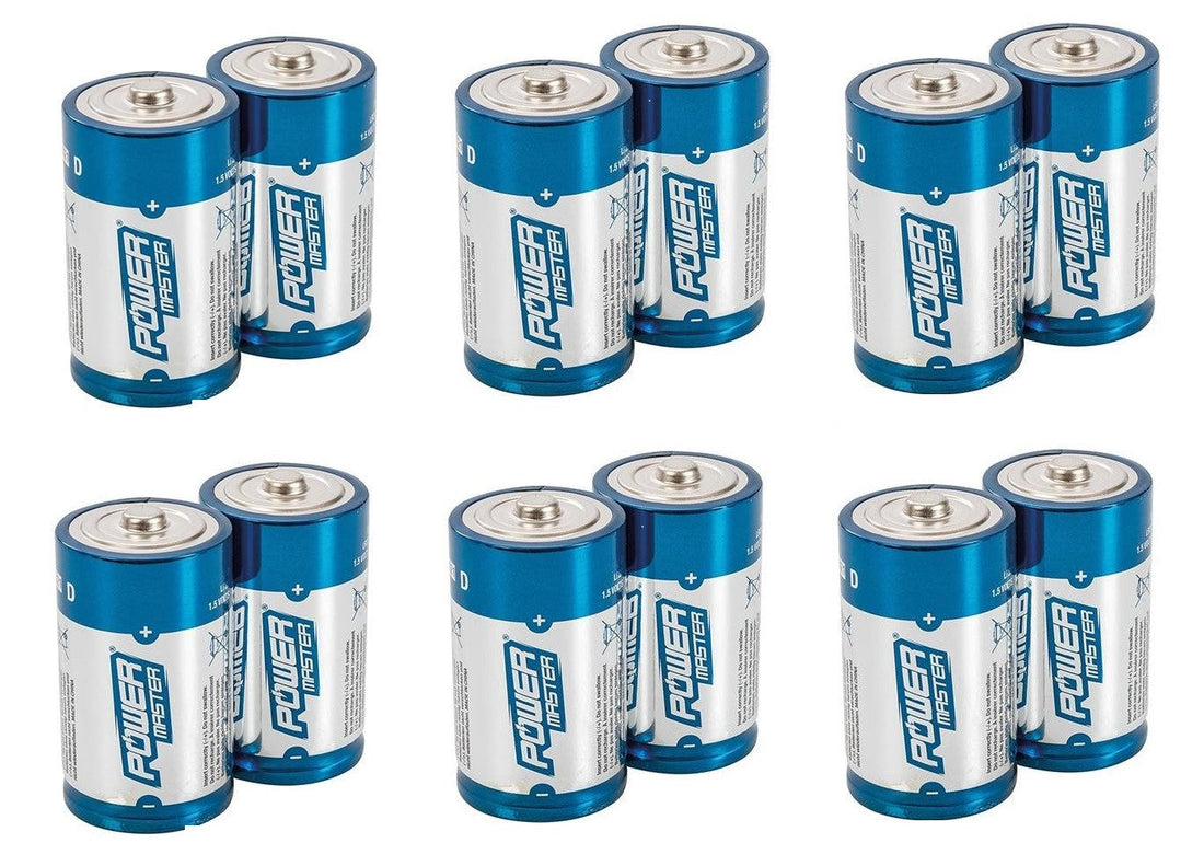 12 piles electrique 1.5v alcaline lr20 d r20 am1 13a e95 mn130 alimentation batterie ECLATS DESTOCKAGE