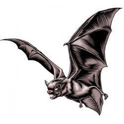 Repousse souris cafard anti nuisible ultrason 220v repulsif blatte martre blatte rat rongeur yf-620