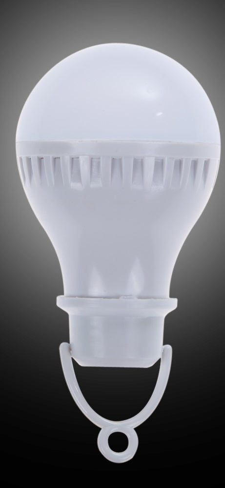 Ampoule 12v eclairage lumineux portable Blanc économie énergie ECLATS DESTOCKAGE