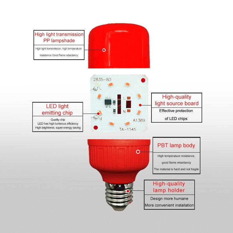 5 Ampoule led e27 220v 5w lanterne rouge vacance festive economie d energie Lampe de noel ECLATS DESTOCKAGE