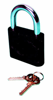 Cadenas 75mm fonte 2 clefs fermeture ouverture securisee verrous antivols serrures 3219510153497