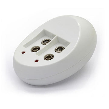 Chargeur 2 piles rechargeables 9v 6f22 Ni-Mh Ni-Cd 110v 220v ECLATS DESTOCKAGE
