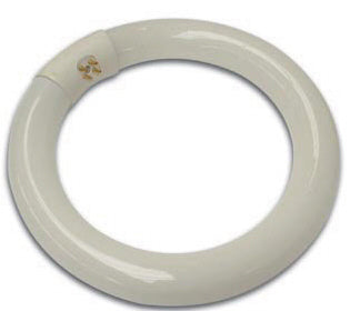 Circline 22w fc22w culot g10q lamp22 tube rond eclairage circulaire lumiere lampe vtlamp2 vtlamp4wn ECLATS DESTOCKAGE