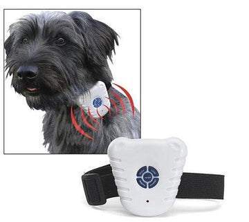 Collier anti aboiement ultrason repousse chien ultrasonique - ECLATS DESTOCKAGE