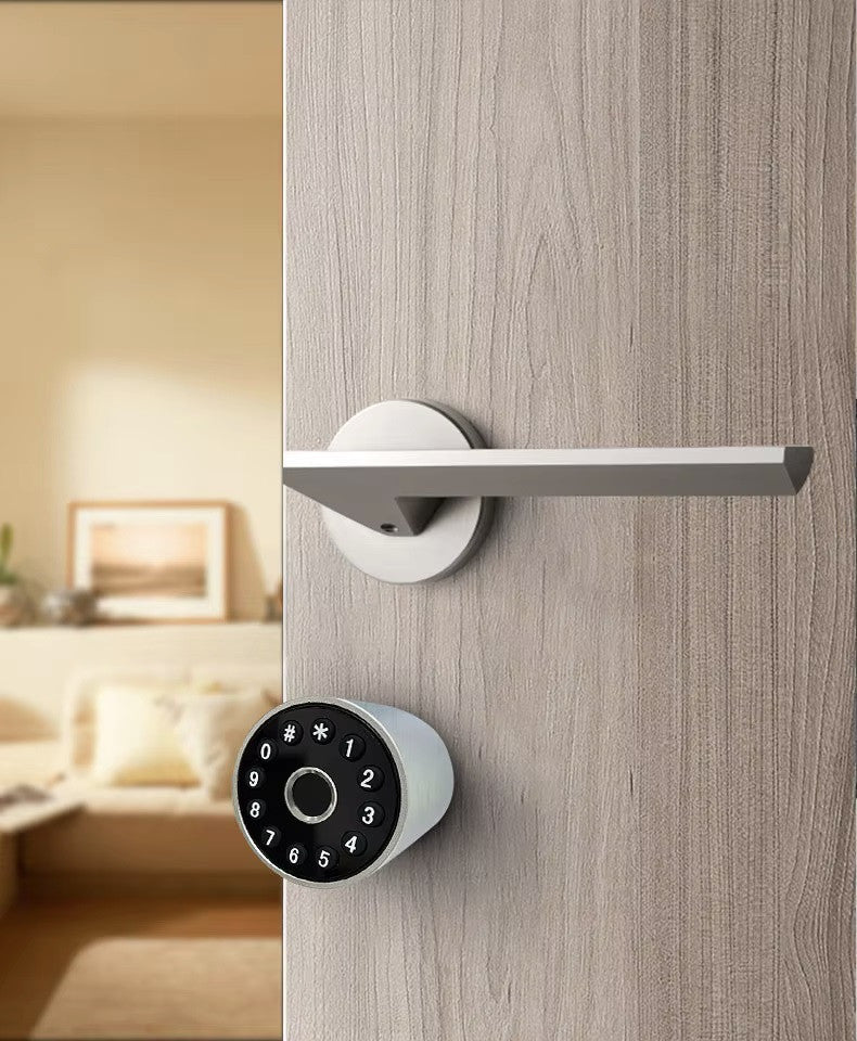 Cylindre serrure de porte intelligente wifi tuya bluetooth clavier code ip66 maison villa magasin ECLATS DESTOCKAGE