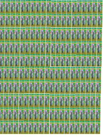Lot de 200 stylo detecteur de faux billets feutre multi devises usd euro eurotester banknote ECLATS DESTOCKAGE