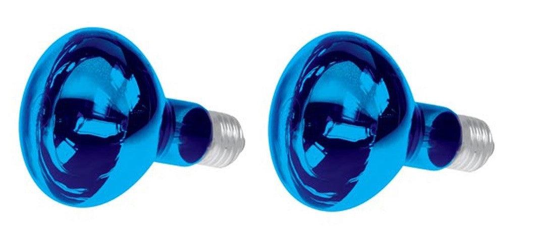 Lot de 2 spots couleur bleu disco e27 60w r80 220v lamp60b2 lampe lumiere ampoule projecteur ECLATS DESTOCKAGE