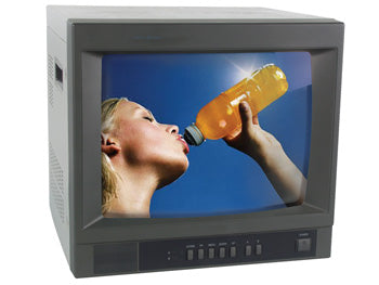 Moniteur surveillance video couleur 14p 35cm 400l audio 220vca monsca2 2 entrees sorties ECLATS DESTOCKAGE