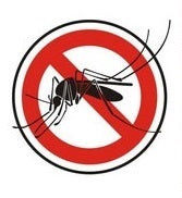 Repousse moustique repulsif tigre zika ultrason chasse insecte repousseur anti mouche papillon ECLATS DESTOCKAGE
