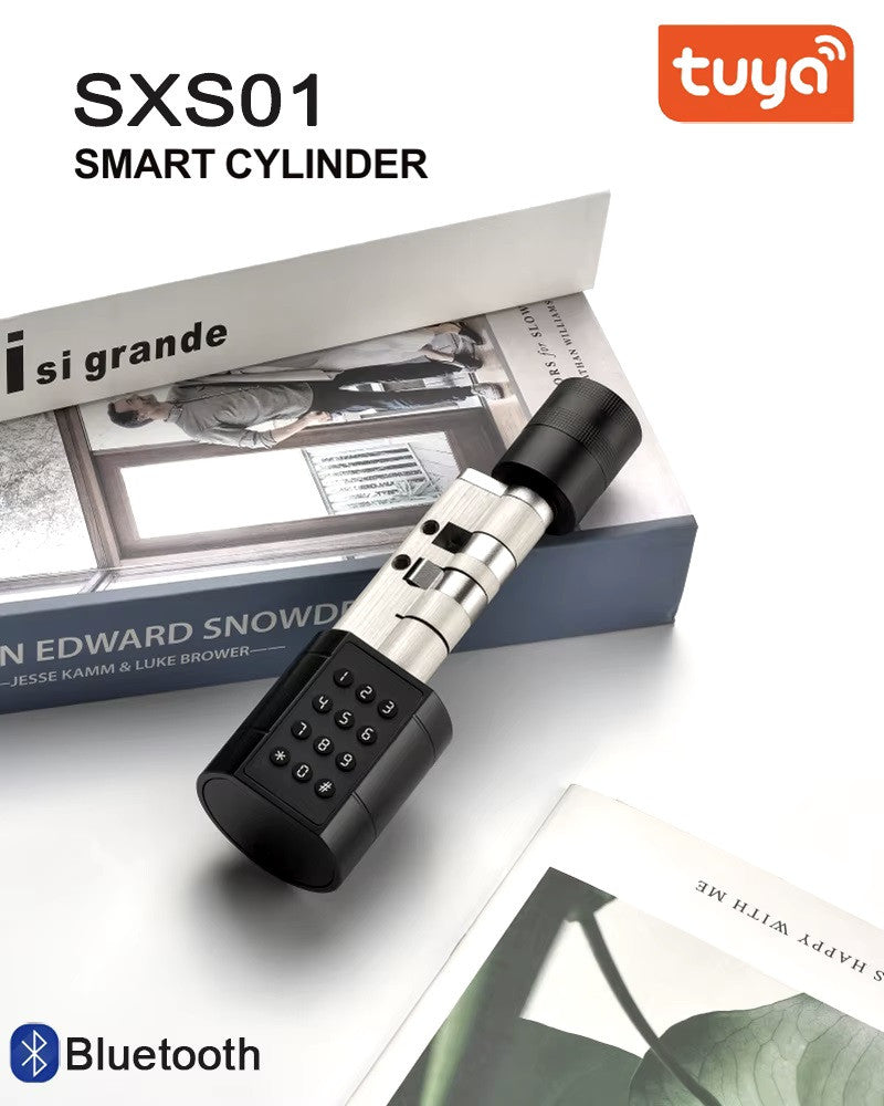 Serrure cylindre porte intelligente tuya bluetooth empreinte digitale noir clavier code + 2 tags 1.56mhz ECLATS DESTOCKAGE