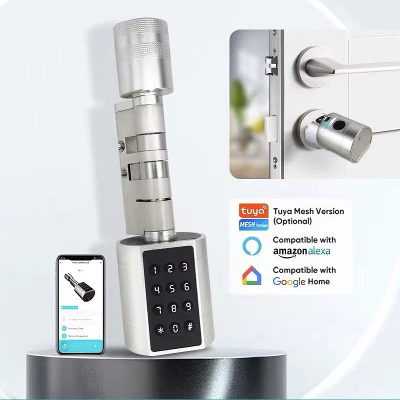 Serrure cylindre porte intelligente tuya bluetooth empreinte digitale clavier code + 2 tags 1.56mhz ECLATS DESTOCKAGE