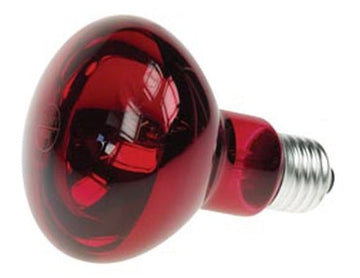 Spot ampoule 60w rouge e27 r80 220v disco lampe lumiere projecteur eclairage lamp60r2 ECLATS DESTOCKAGE