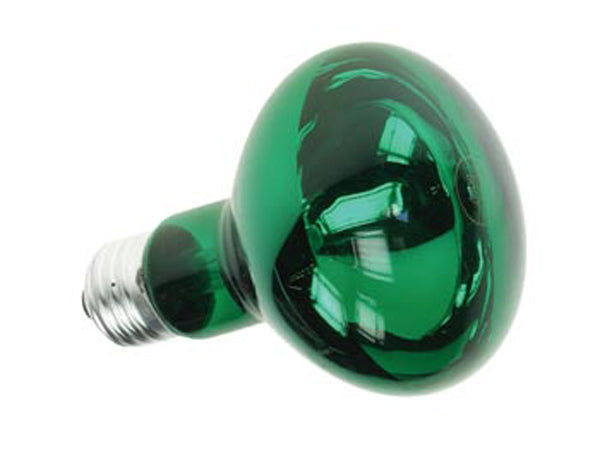 Spot couleur disco vert e27 40w r63 220v lamp60g2 lampe lumiere ampoule projecteur eclairage ECLATS DESTOCKAGE