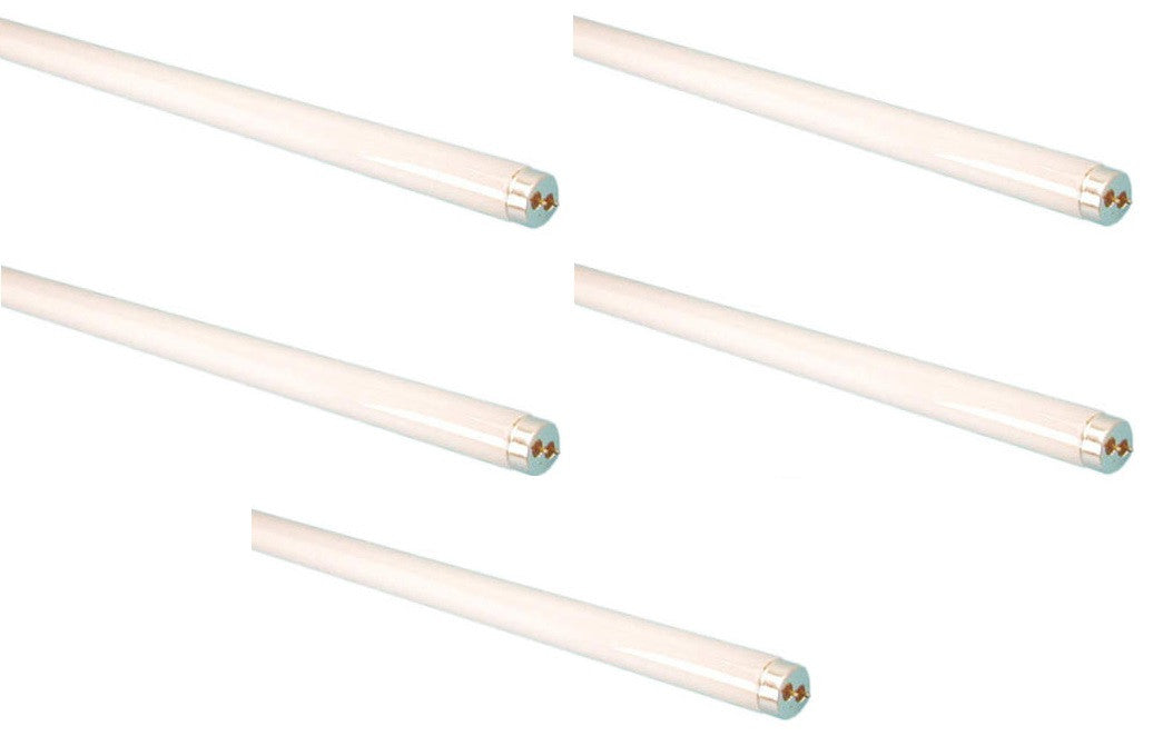 5 Tube fluo eclairage fluorescent 1.20m 36w t8 g13 lumiere lampe tube eclairage ECLATS DESTOCKAGE